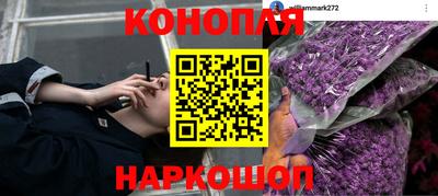 молекула духа Пугачёв