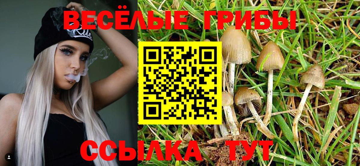 Галлюциногенные грибы MAGIC MUSHROOMS Элиста